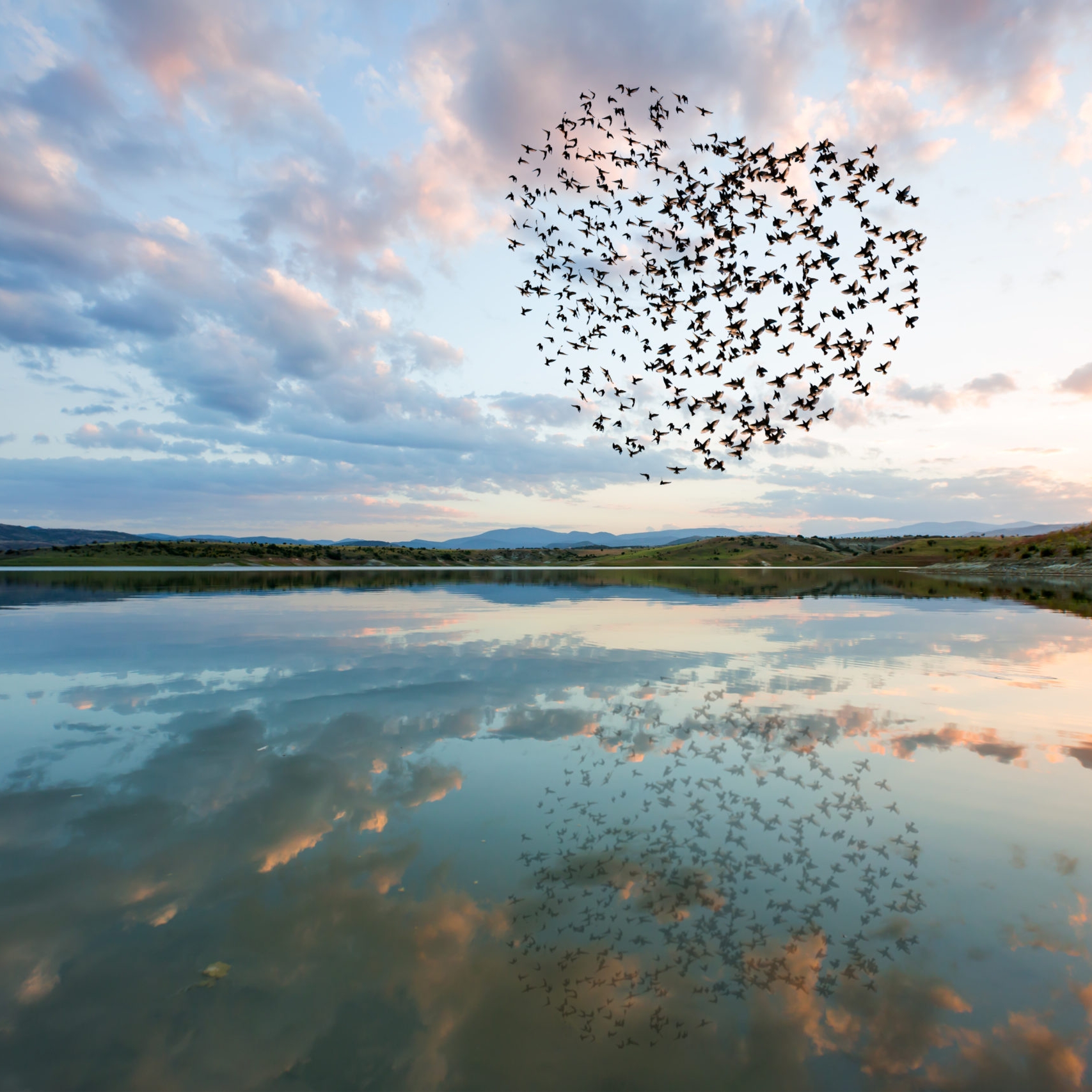 Silhouettes of flying flock birds (in shape of heart) against clouds